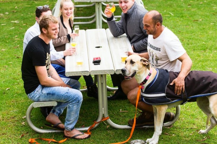 are dogs allowed in pubs in australia